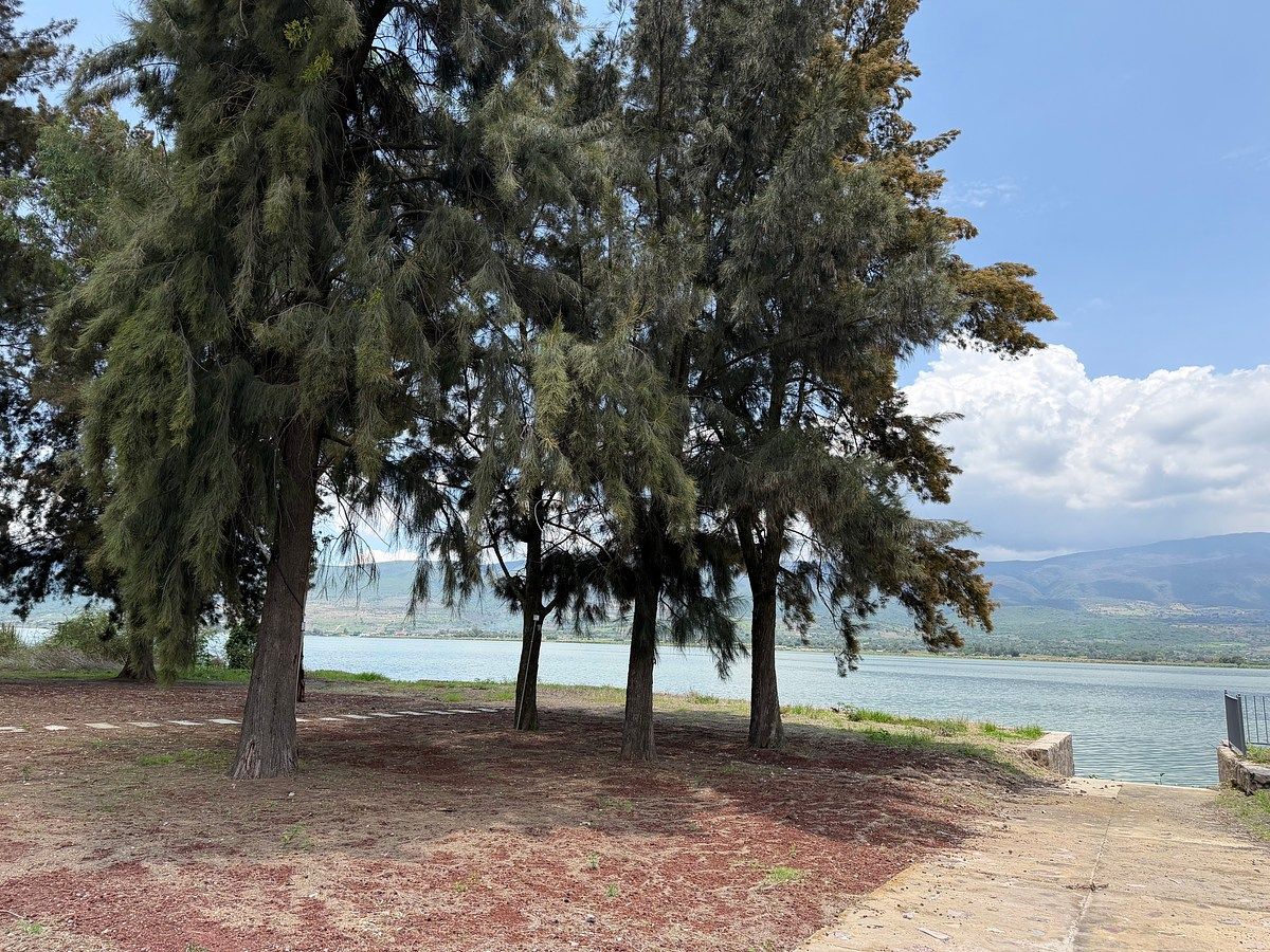 Terreno en Tres Reyes, Tlajomulco de Zúñiga, foto 11 de 20