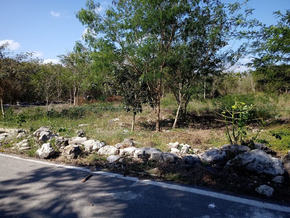 Lot in Komchen, Mérida, photo 2 of 8