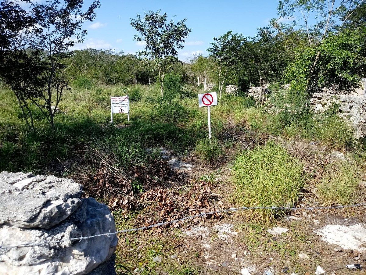 Lot in Komchen, Mérida, photo 4 of 8