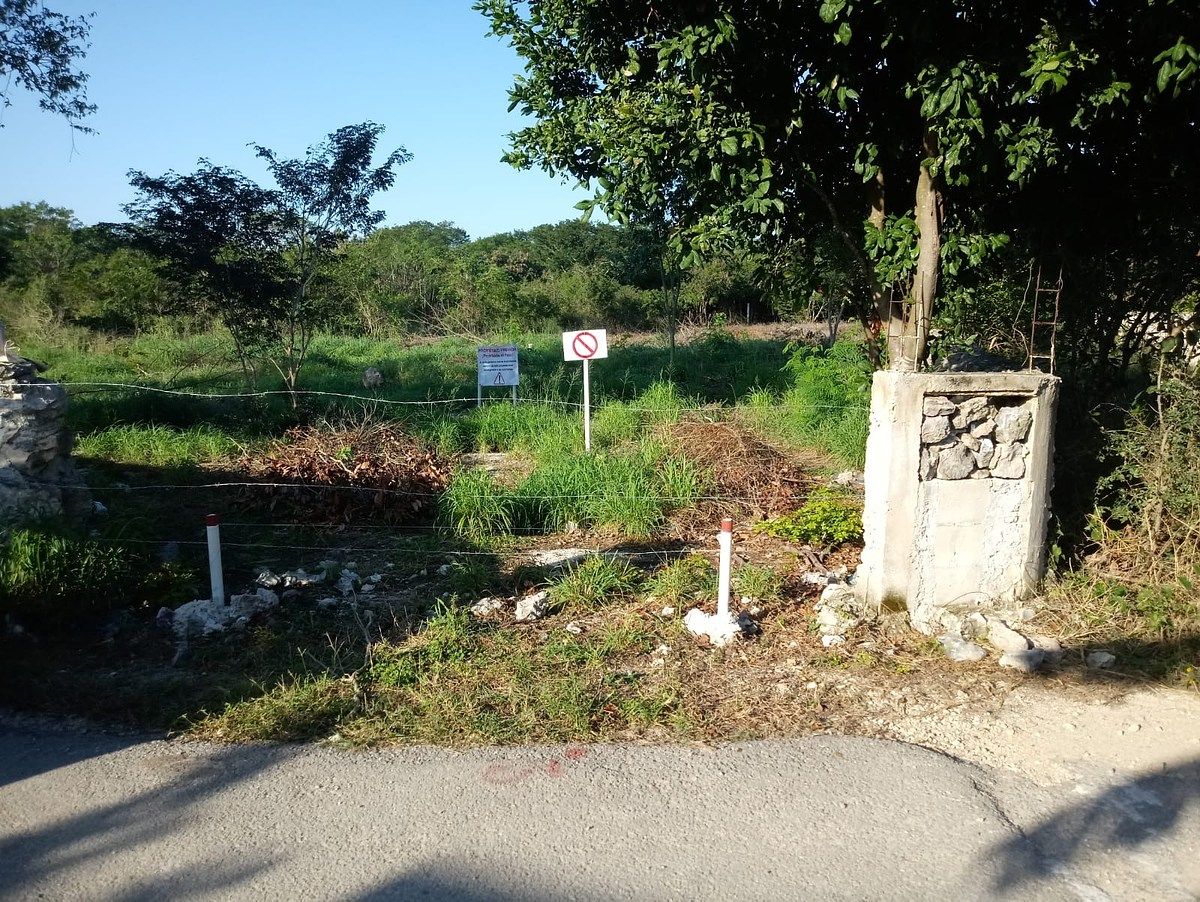 Lot in Komchen, Mérida, photo 5 of 8