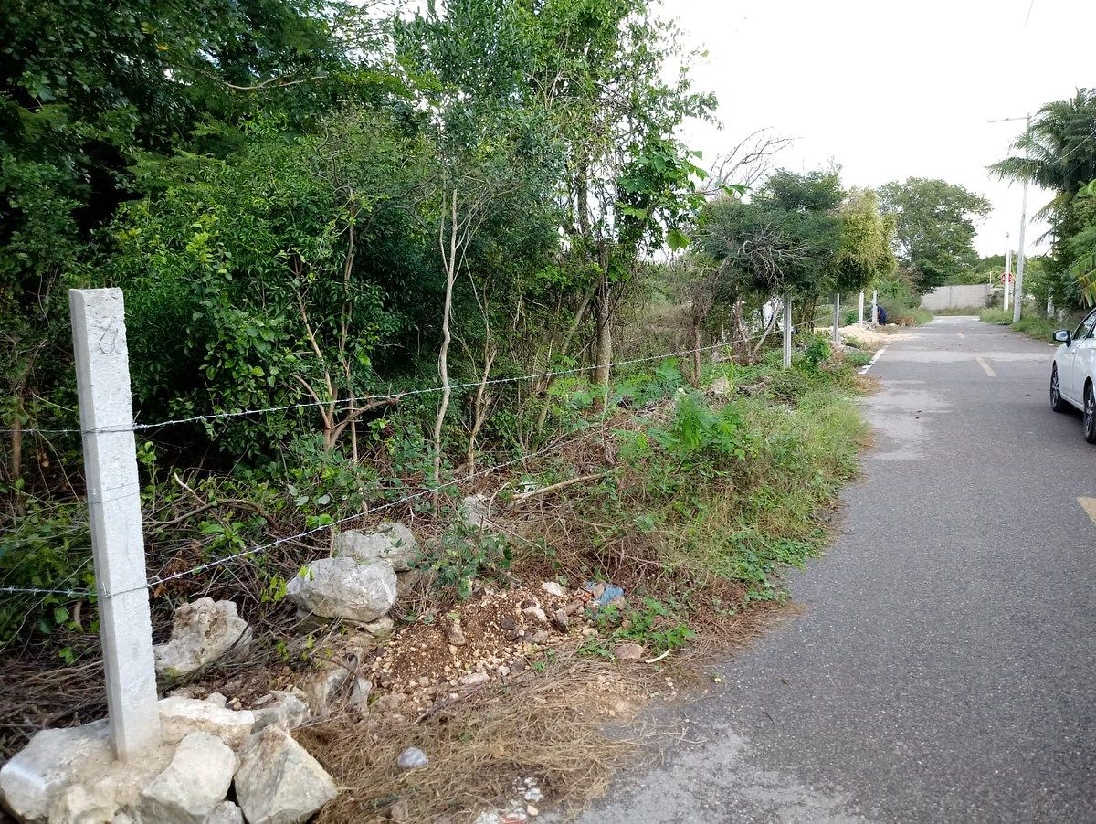 Lot in Komchen, Mérida, photo 7 of 8