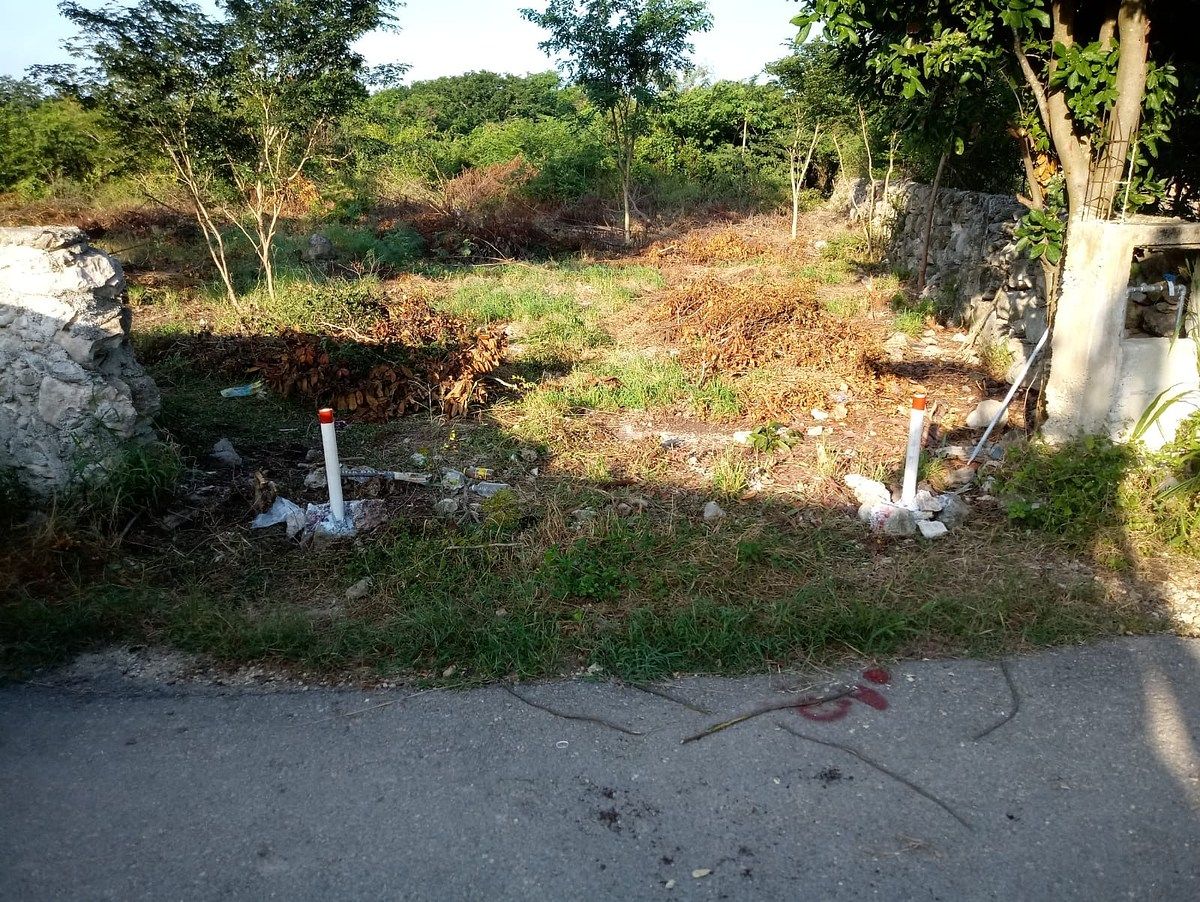 Lot in Komchen, Mérida, photo 8 of 8
