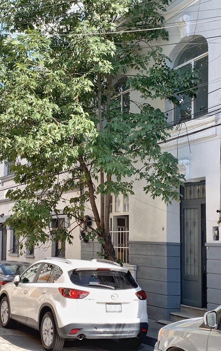 Chulísima casa porfiriana en la Roma Norte, foto 1 de 19