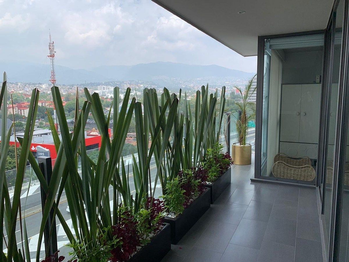 Apartamento em Jardines del Pedregal, Álvaro Obregón, foto 5 de 22