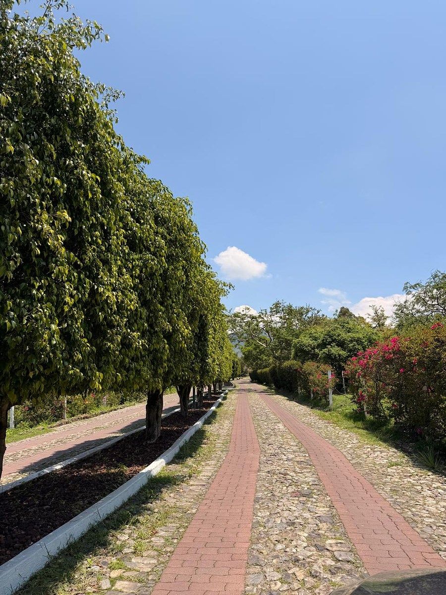 Lot in San Nicolás de Ibarra, Chapala, photo 4 of 7