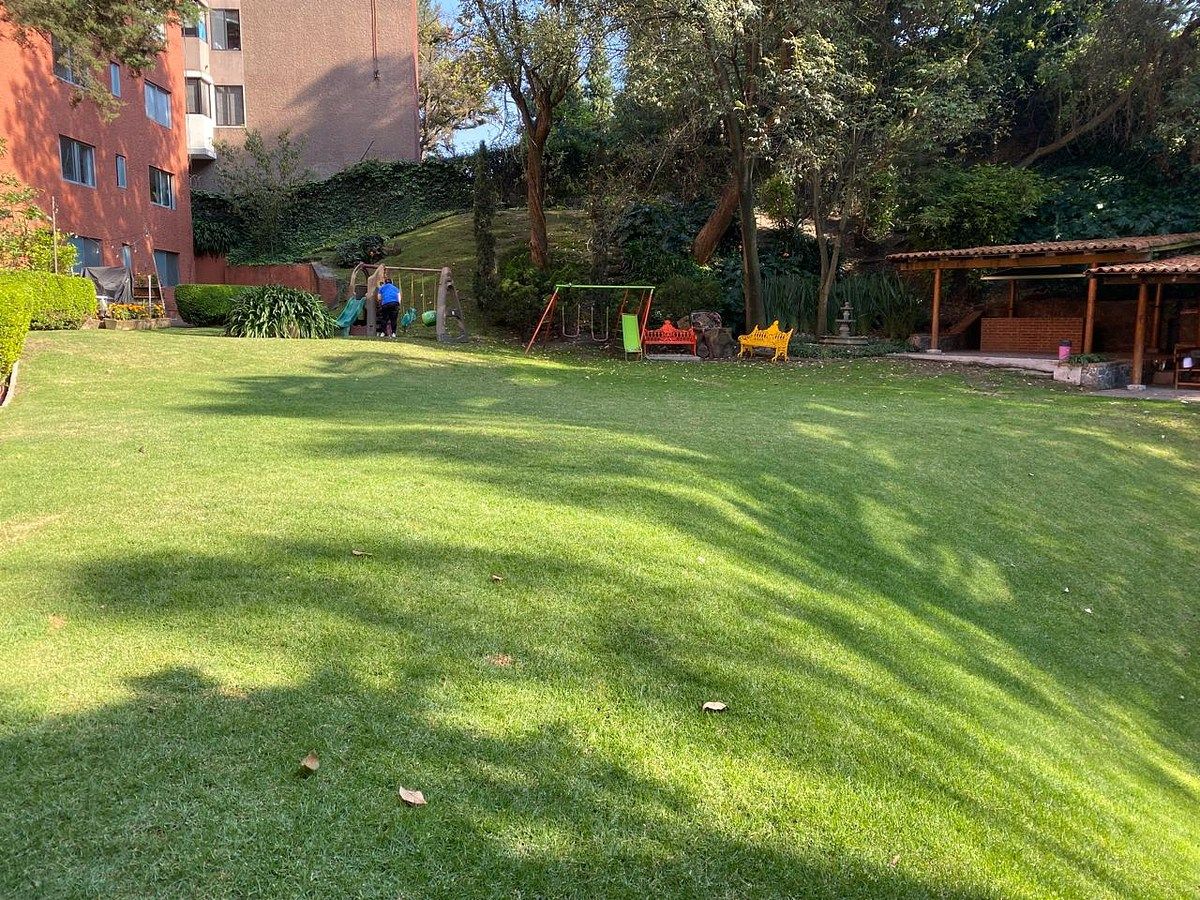 Venta excelente departamento 2 recámaras con gran jardín en Olipadres, foto 1 de 27