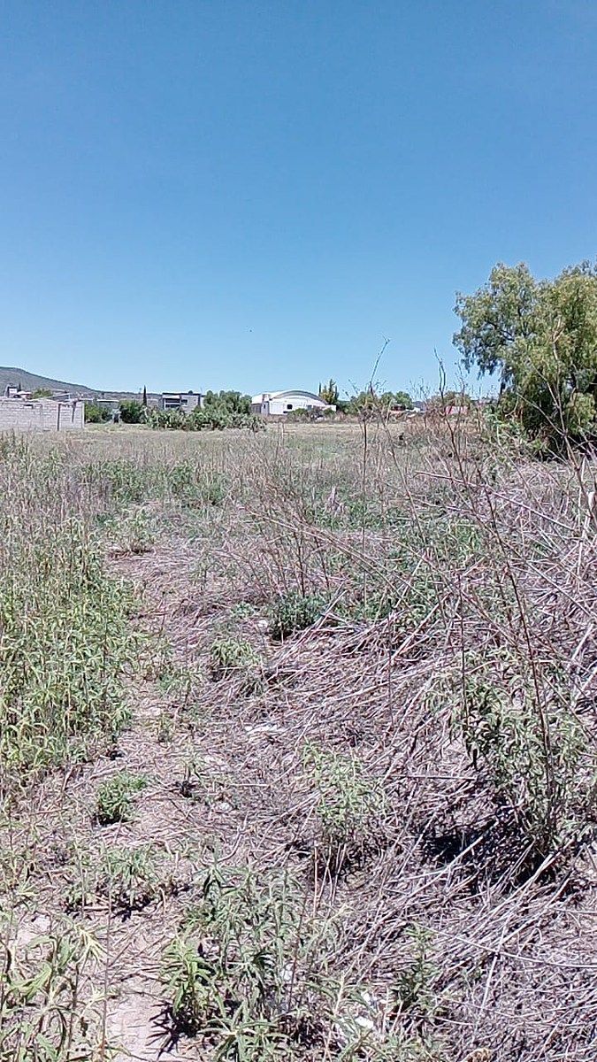 Lot in Pueblo Nuevo, Zapotlán de Juárez, photo 2 of 8