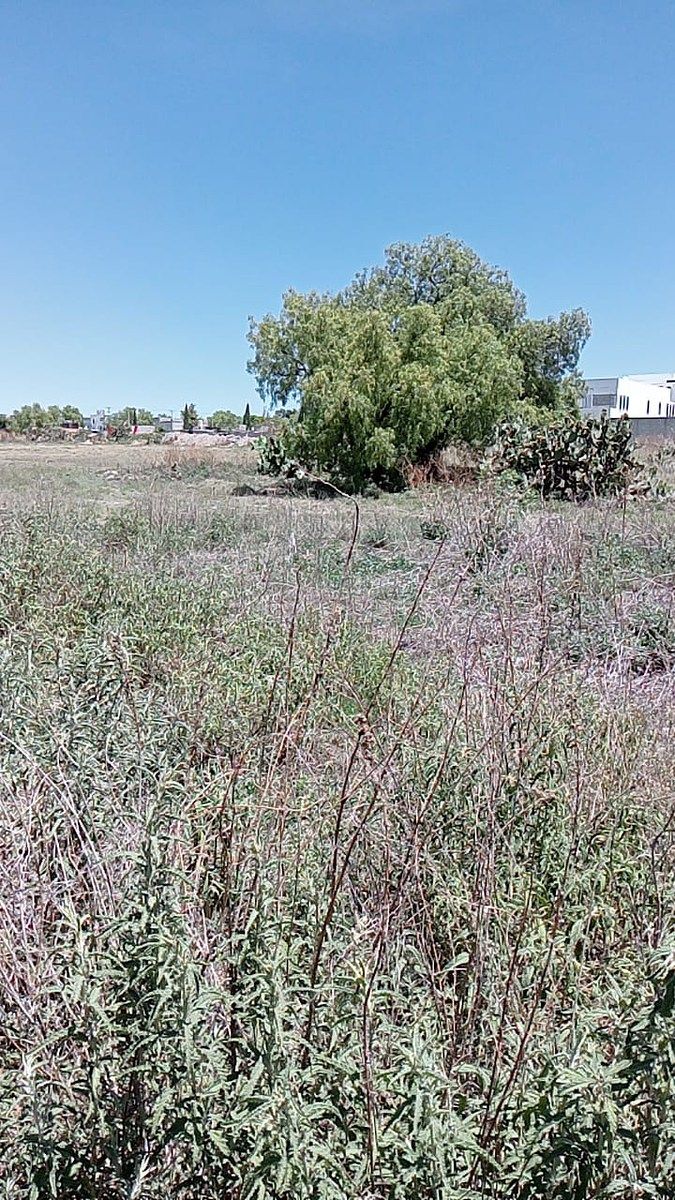 Lot in Pueblo Nuevo, Zapotlán de Juárez, photo 3 of 8