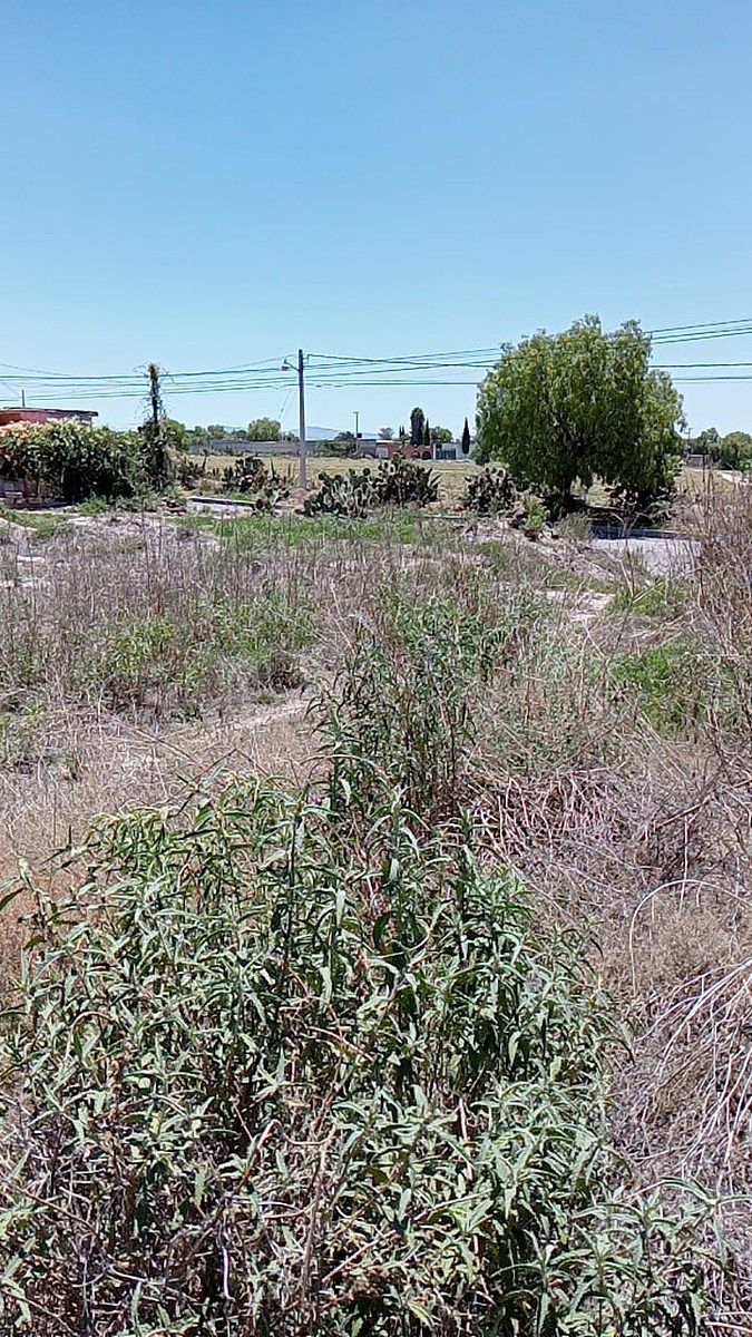 Lot in Pueblo Nuevo, Zapotlán de Juárez, photo 4 of 8