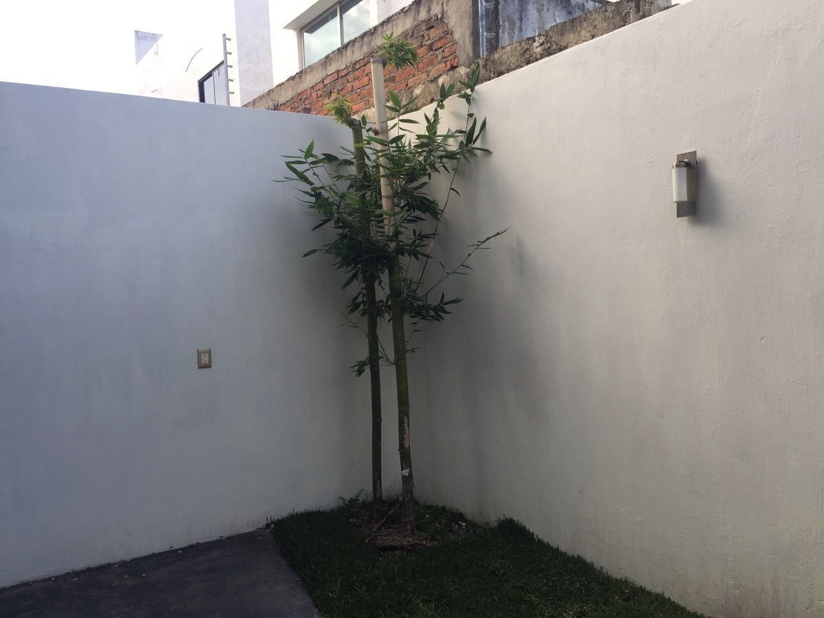 Casa em condomínio fechado em Valle Imperial, Zapopan, foto 11 de 39
