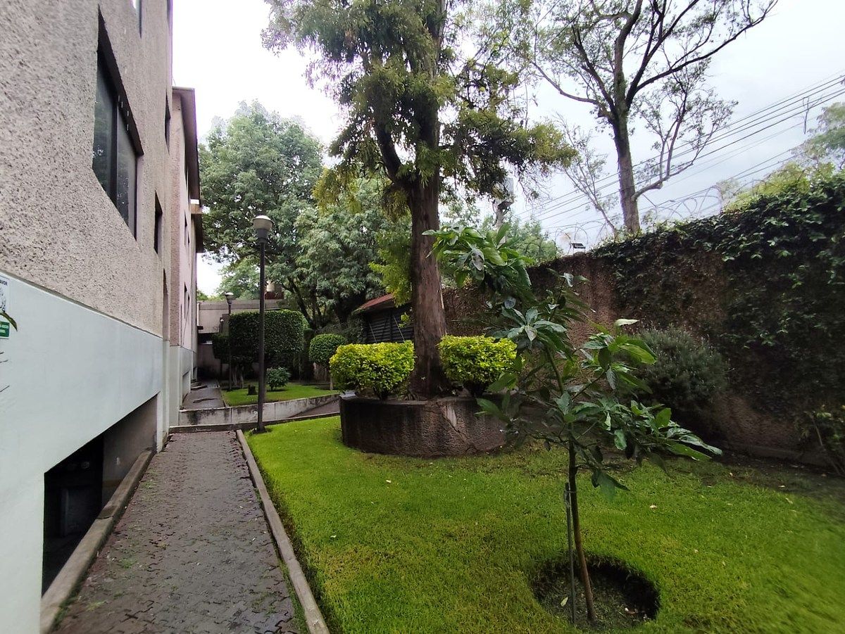 Apartamento em Xoco, Benito Juárez, foto 19 de 27