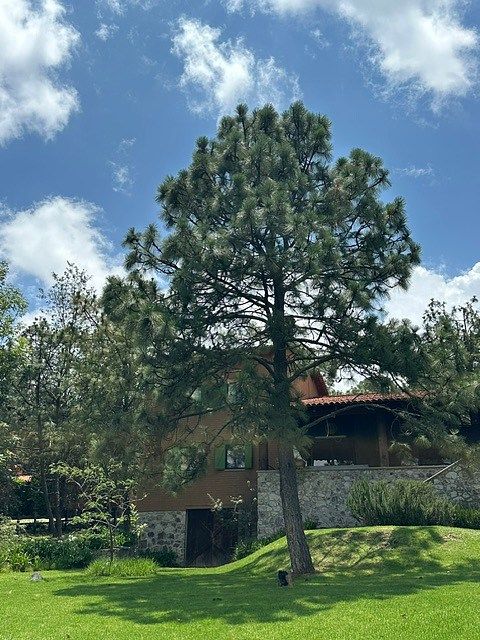 Casa em Tapalpa Country Club, Tapalpa, foto 13 de 15