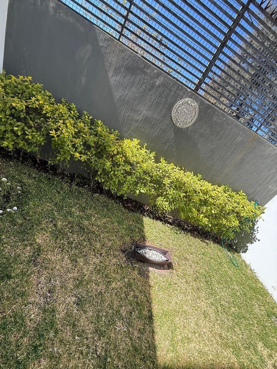 Casa em condomínio fechado em Bosque Real, Tlajomulco de Zúñiga, foto 21 de 34