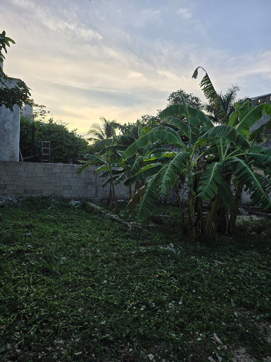Casa em Garcia Gineres, Mérida, foto 6 de 11