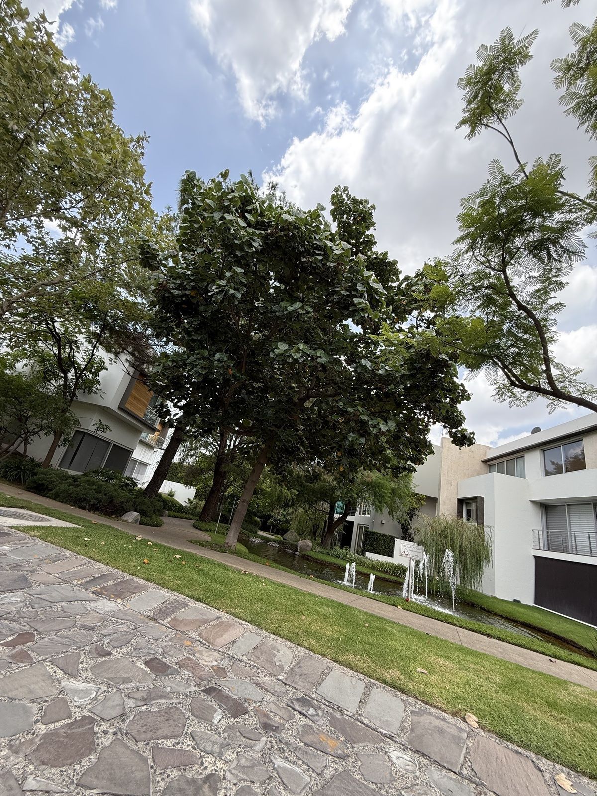House in Bosque de los Lagos, Zapopan, photo 34 of 36