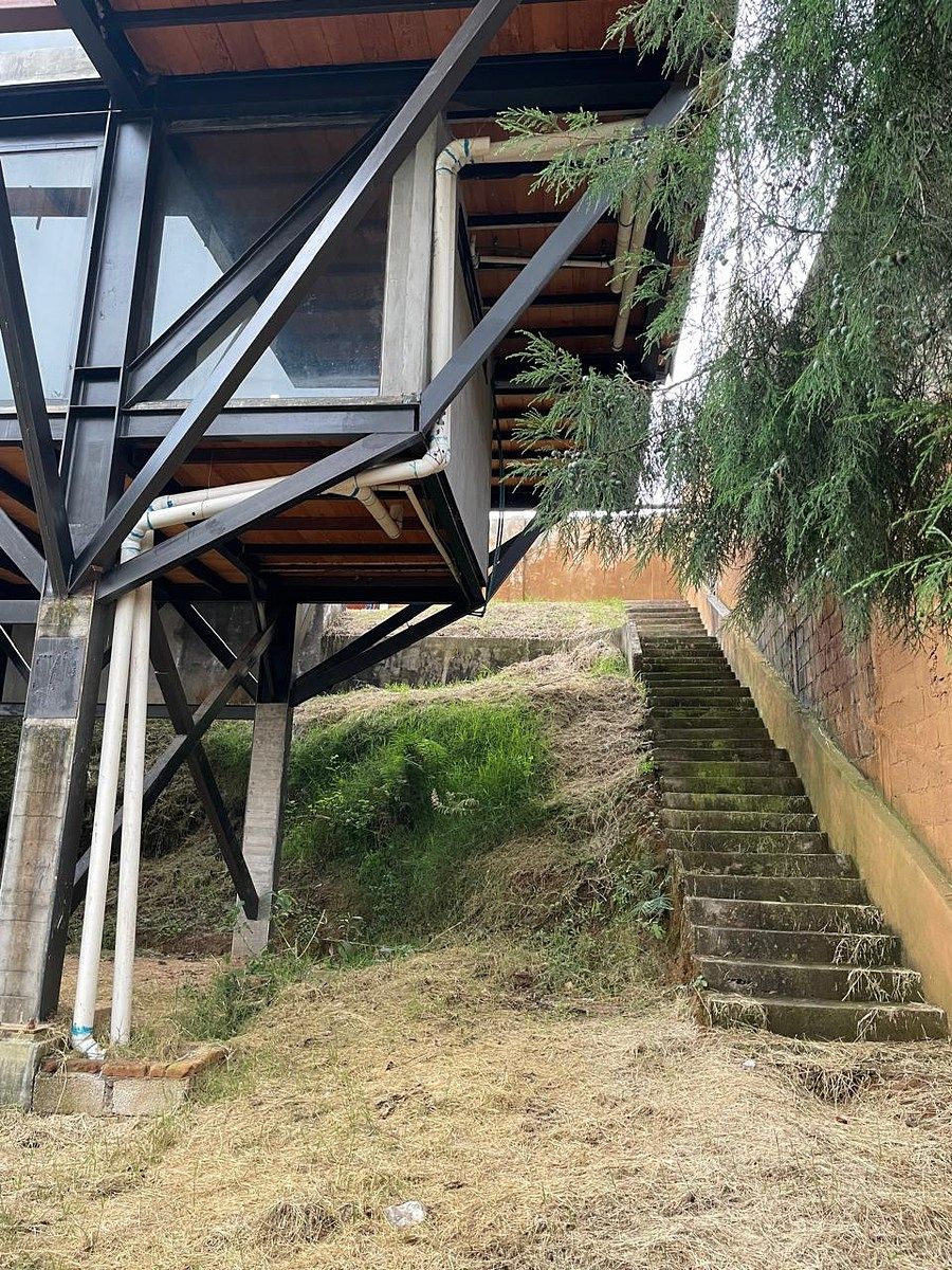 Escaleras para bajar al jardín, foto 12 de 12