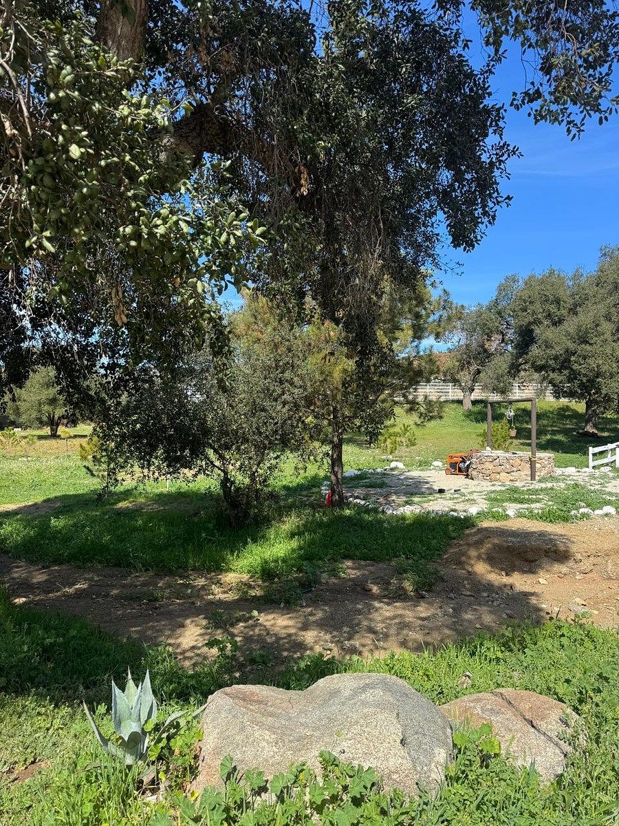 Lot in Valle de Guadalupe, Ensenada, photo 10 of 20