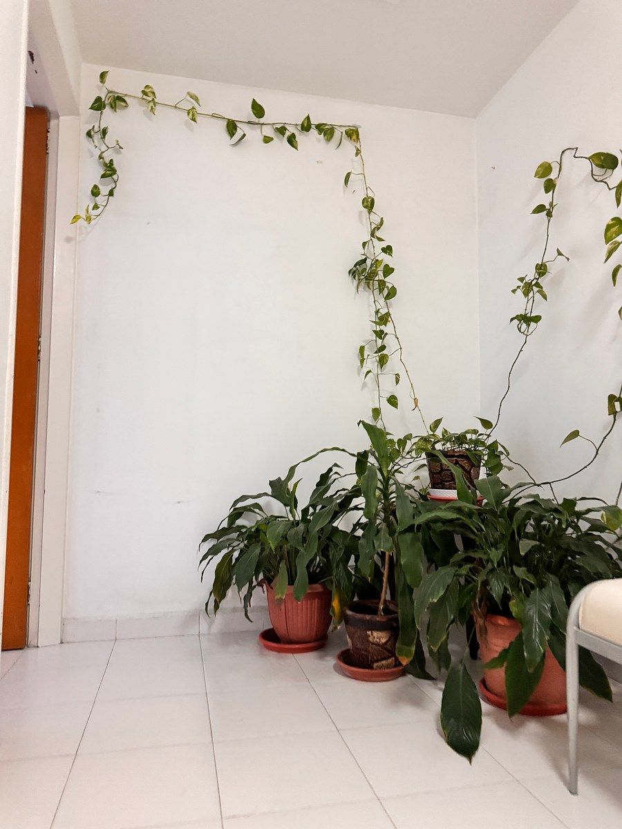Casa em Boulevares, Naucalpan de Juárez, foto 11 de 29
