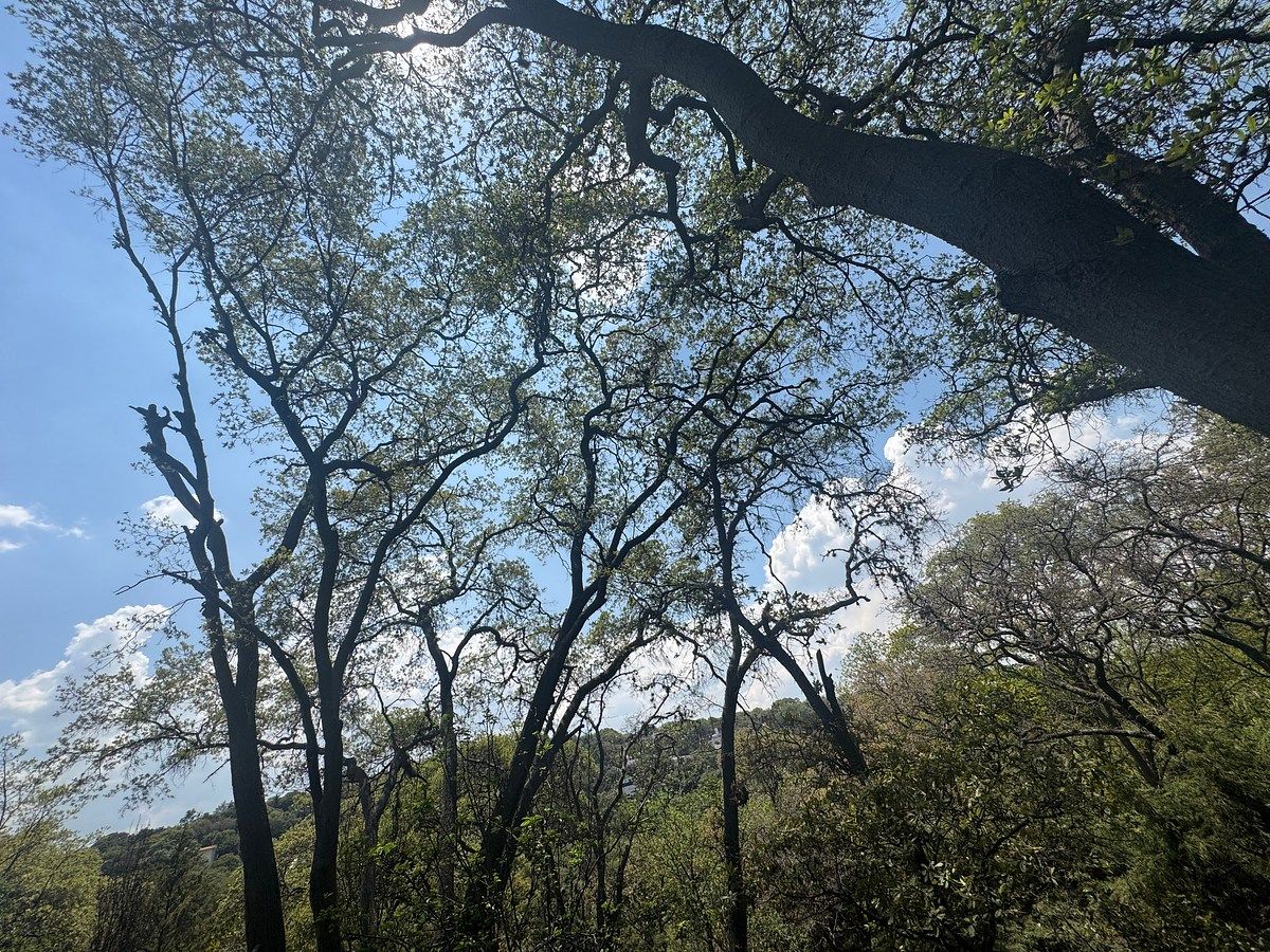 Lote em Granjas Lomas de Guadalupe, Cuautitlán Izcalli, foto 45 de 46