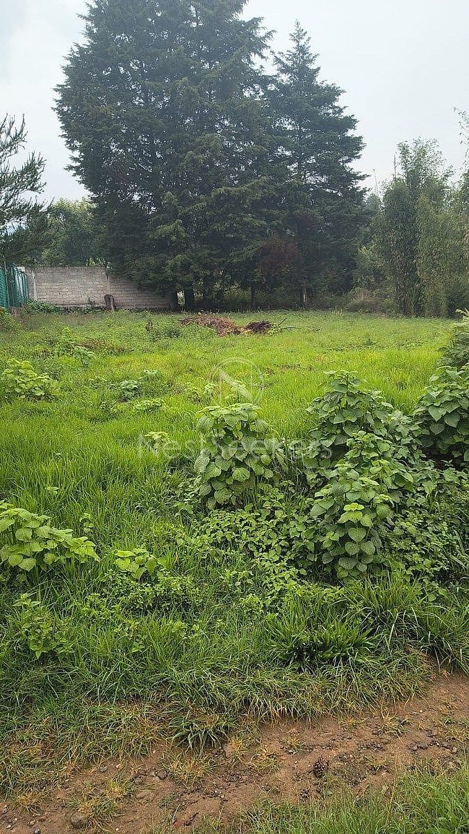 Terreno en San Gabriel Ixtla, Valle de Bravo, foto 3 de 6