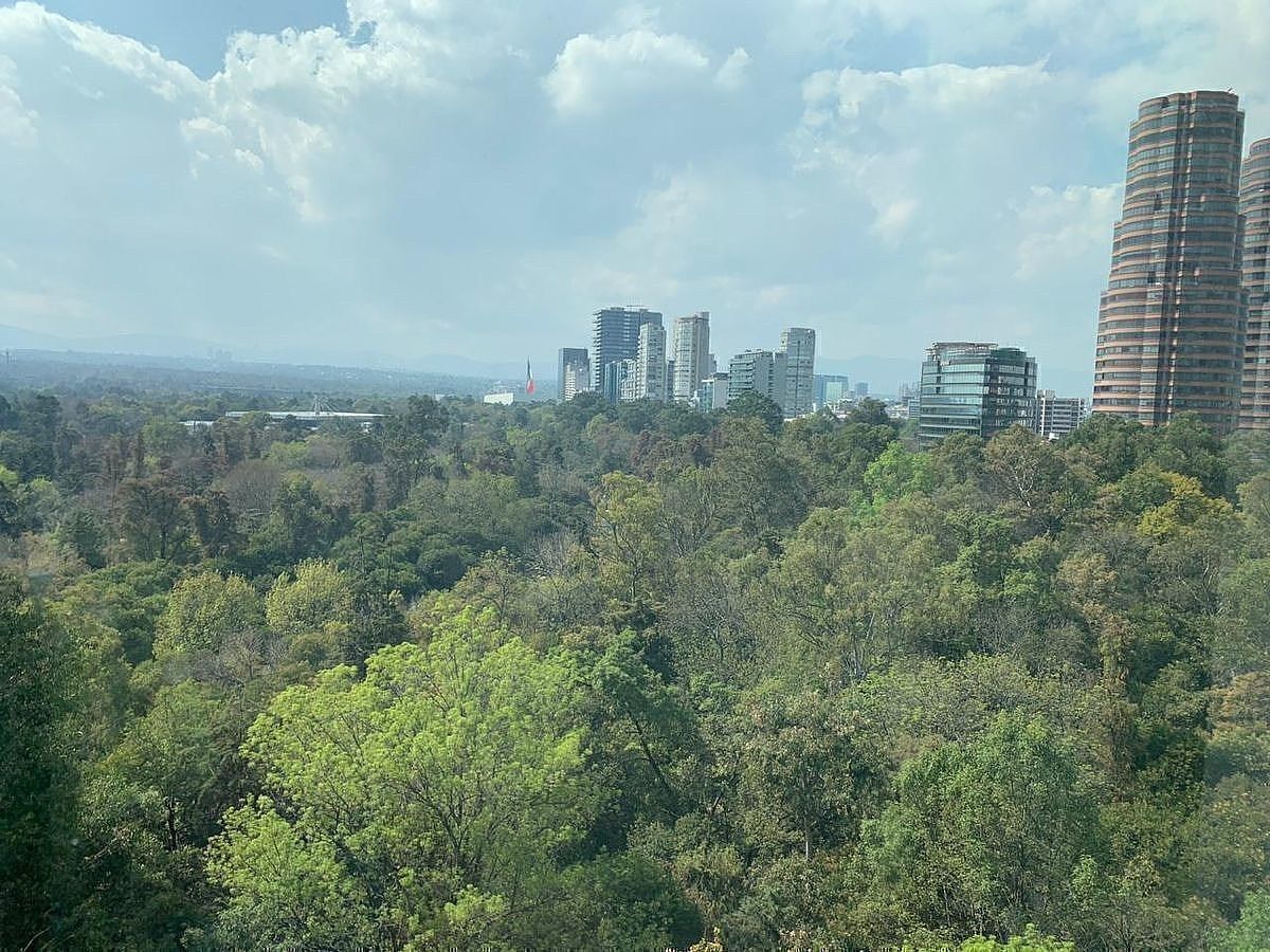 Apartamento em Polanco V Sección, Miguel Hidalgo, foto 2 de 16