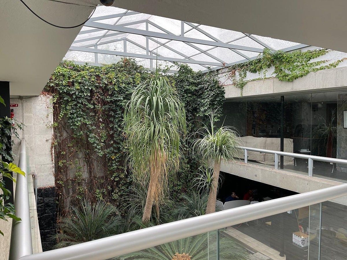 Casa com uso comercial em Lomas de Chapultepec II Sección, Miguel Hidalgo, foto 4 de 19