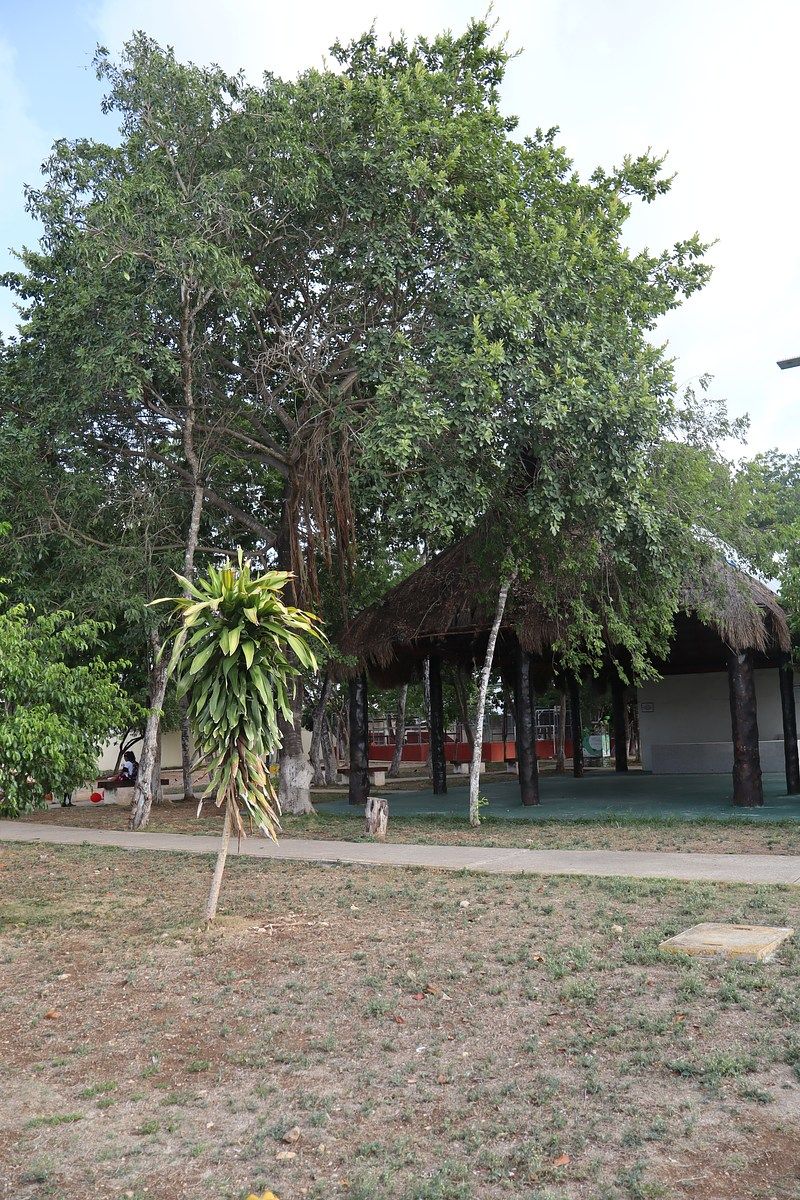 Casa en Villas del Sol, Playa del Carmen, foto 35 de 35