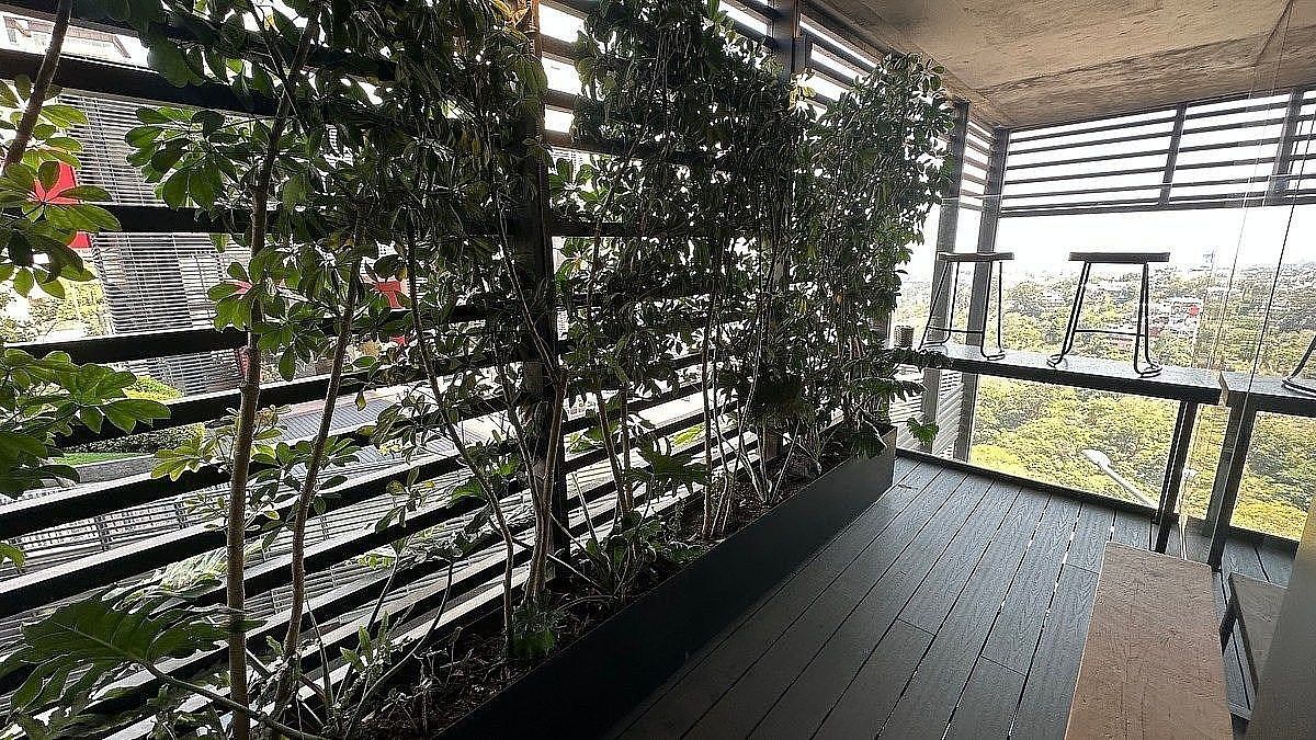 Apartamento em Lomas del Chamizal, Cuajimalpa de Morelos, foto 8 de 19