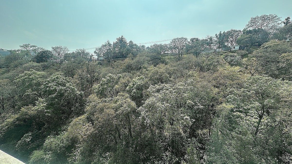 Apartamento em Bosque de las Lomas, Miguel Hidalgo, foto 14 de 16