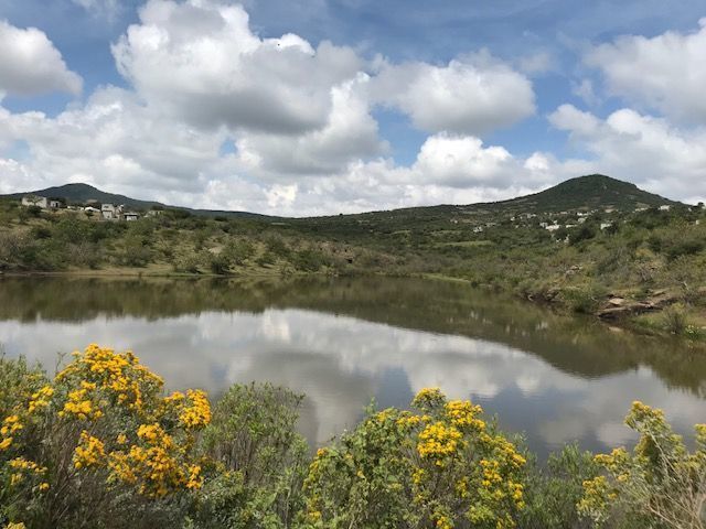 MACROLOTE TERRENO EN VENTA SAN MIGUELITO RANCHO CASA BLANCA SANTA ROSA JAUREGUI, foto 1 de 7
