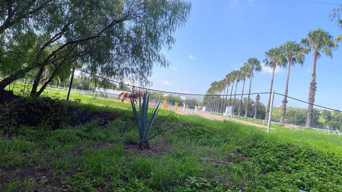 Lote em Balvanera, Corregidora, foto 4 de 4