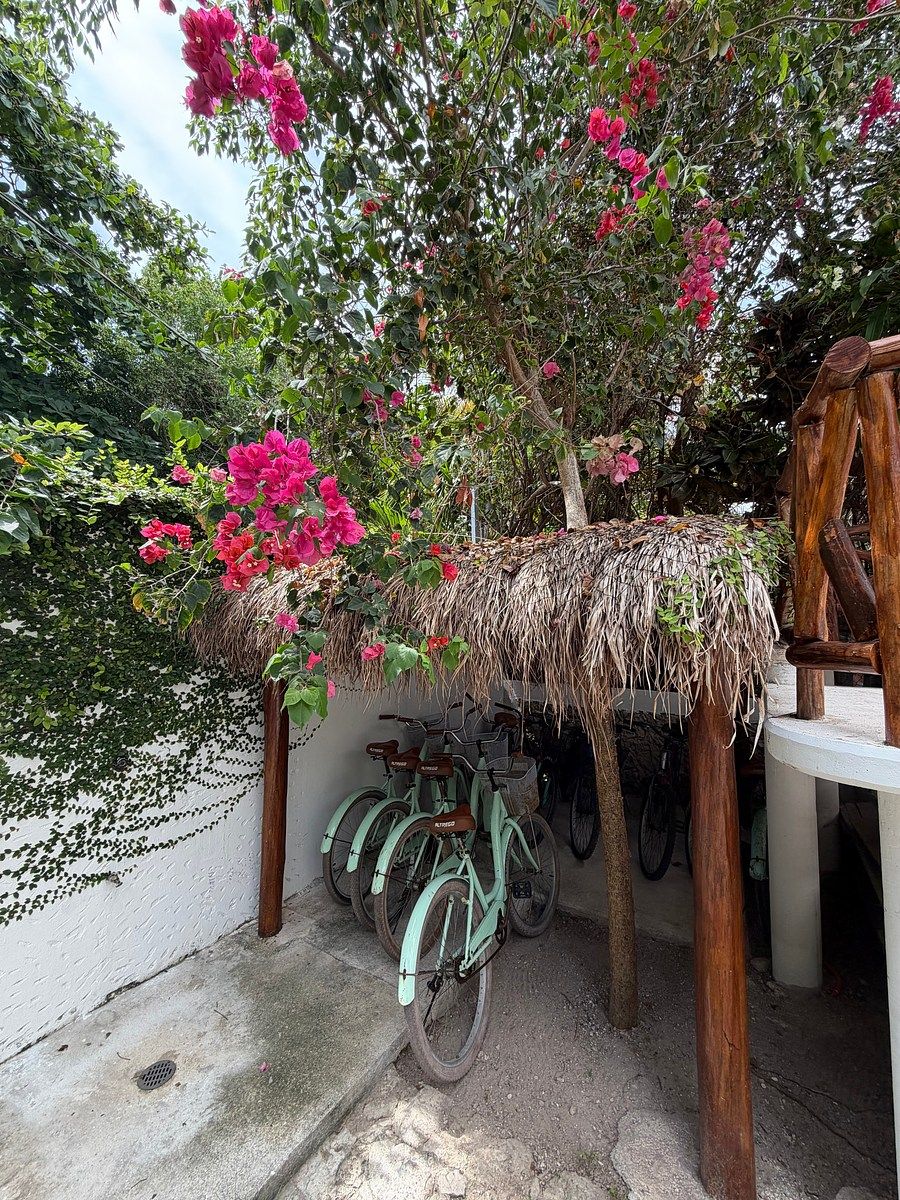 Casa em Puerto Morelos, Puerto Morelos, foto 37 de 37