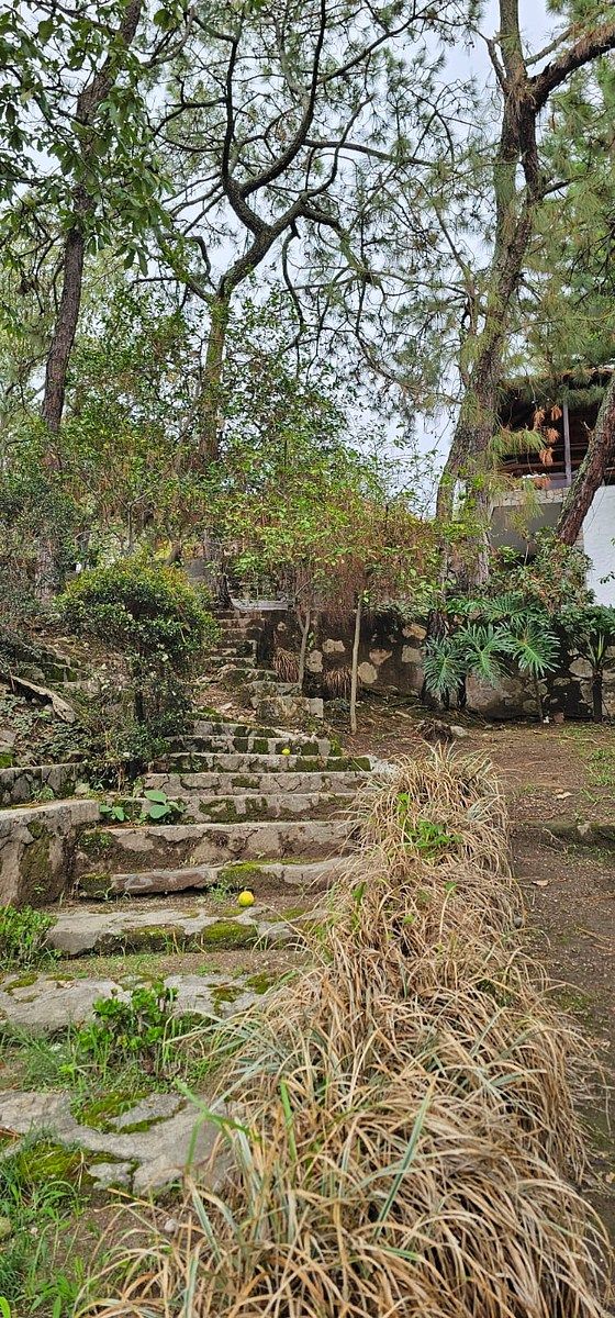 House in Pinar de La Venta, Zapopan, photo 5 of 50
