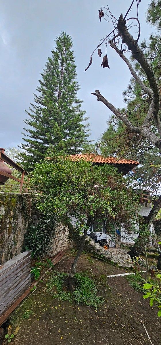 House in Pinar de La Venta, Zapopan, photo 10 of 50