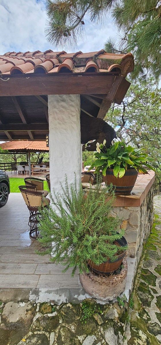 House in Pinar de La Venta, Zapopan, photo 21 of 50