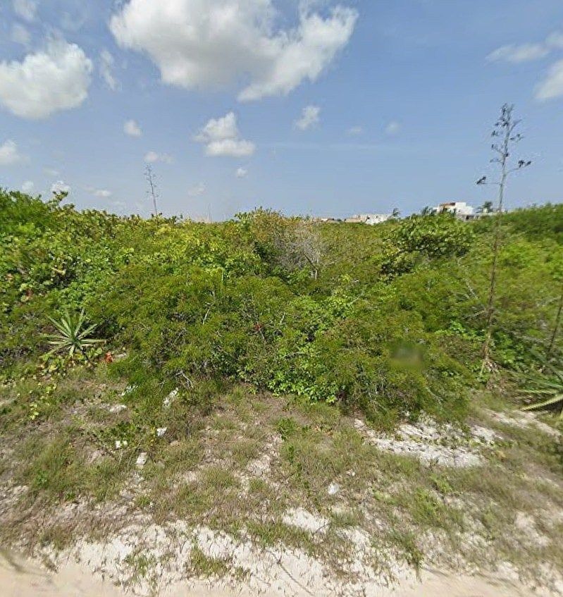Lote em Dzemul, Mérida, foto 3 de 5