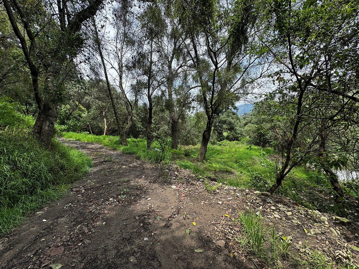 Lote em San Bartolomé Coatepec, Huixquilucan, foto 9 de 13