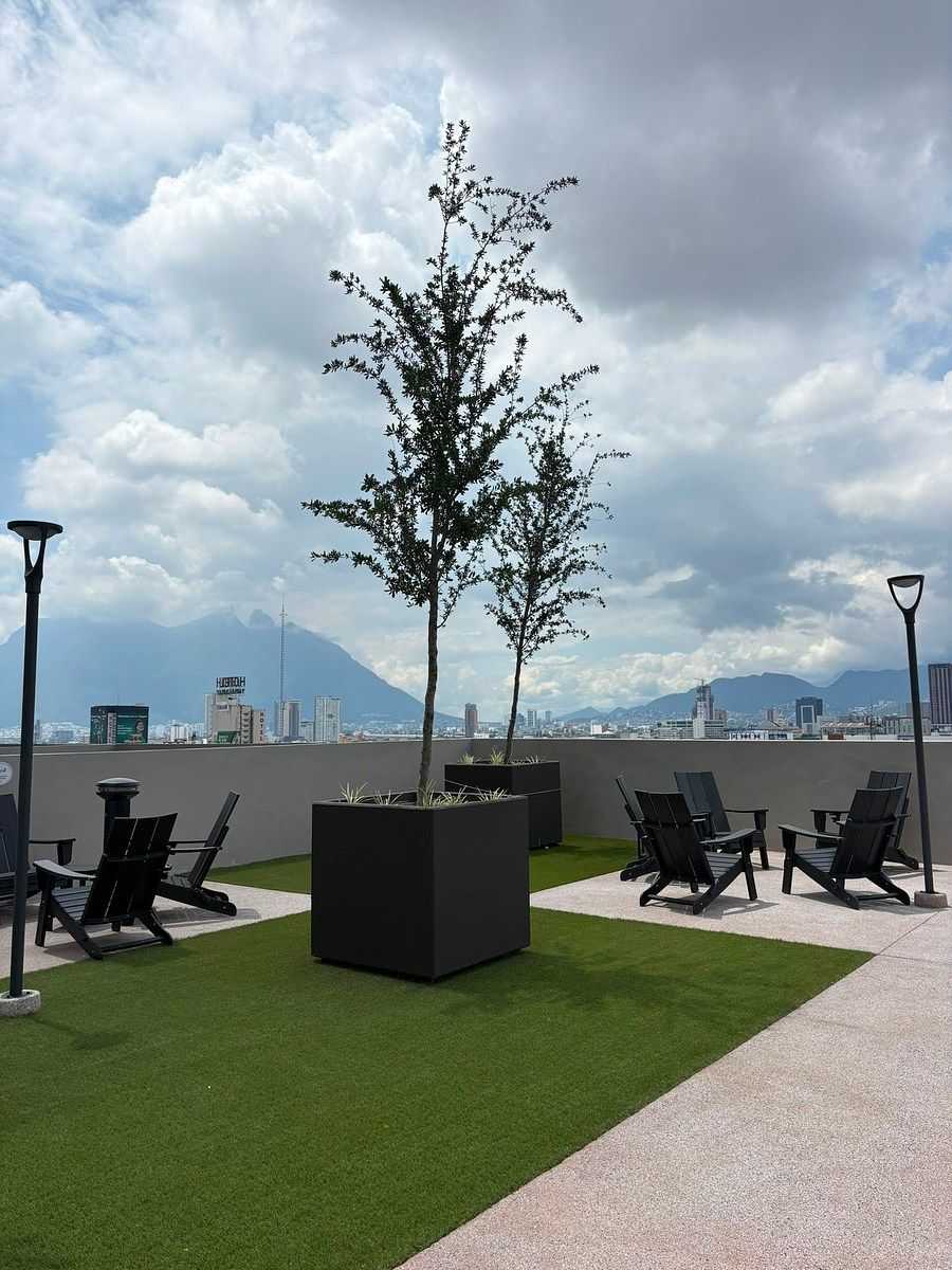 Apartment in Sarabia, Monterrey, photo 15 of 16