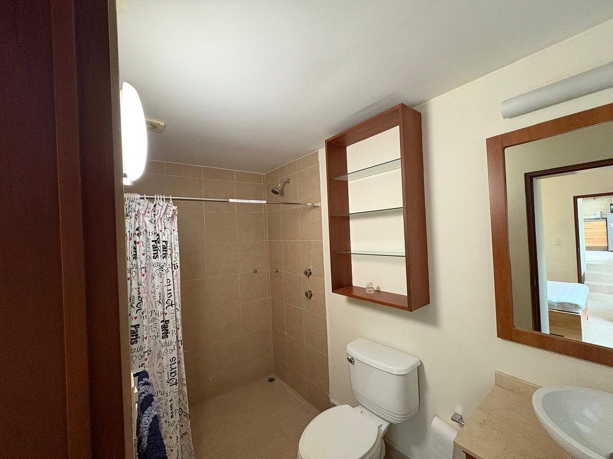 House in Tlalpan Centro, Tlalpan, photo 15 of 27
