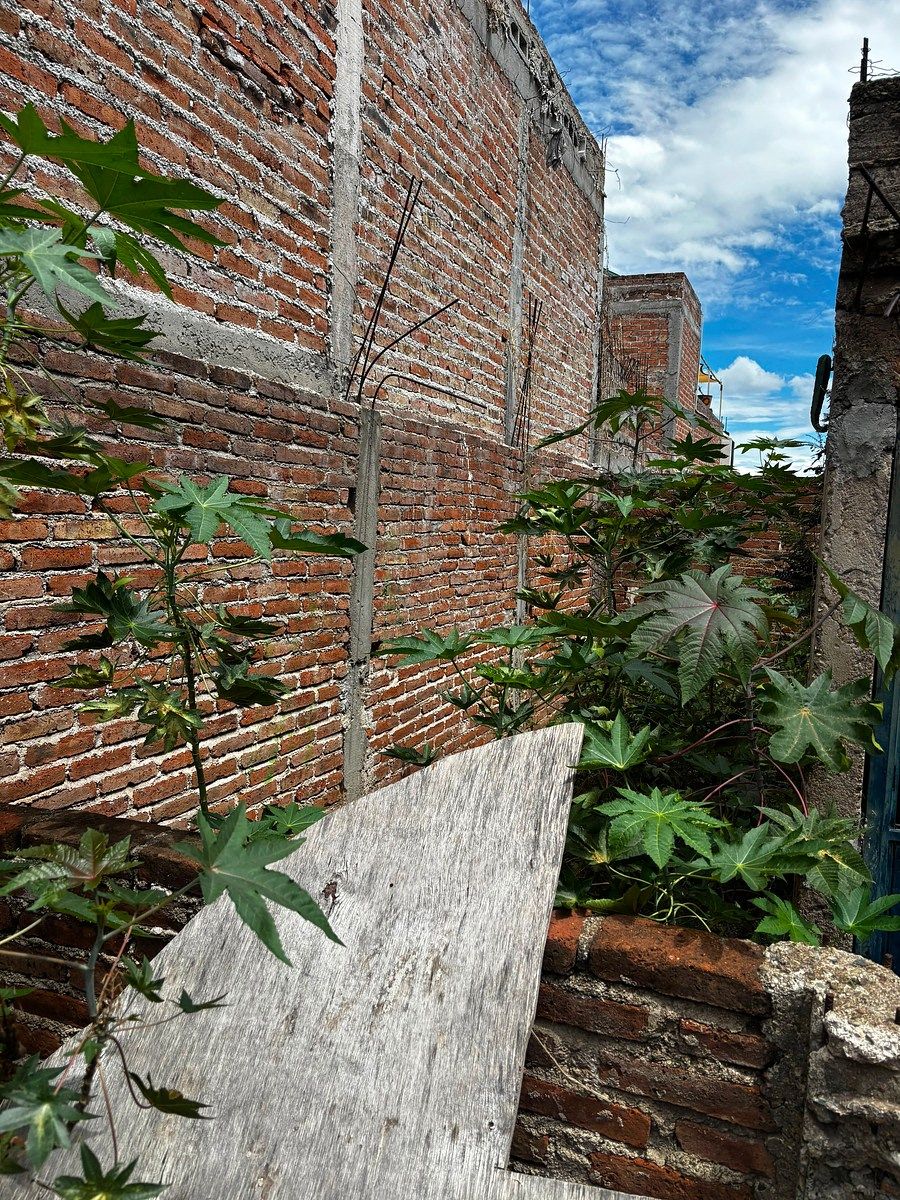 Terreno en Encino, Guanajuato, foto 8 de 10