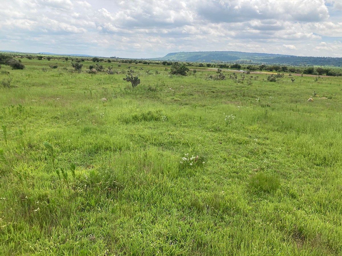 Lote em Rinconada de los Vázquez, Arandas, foto 3 de 9