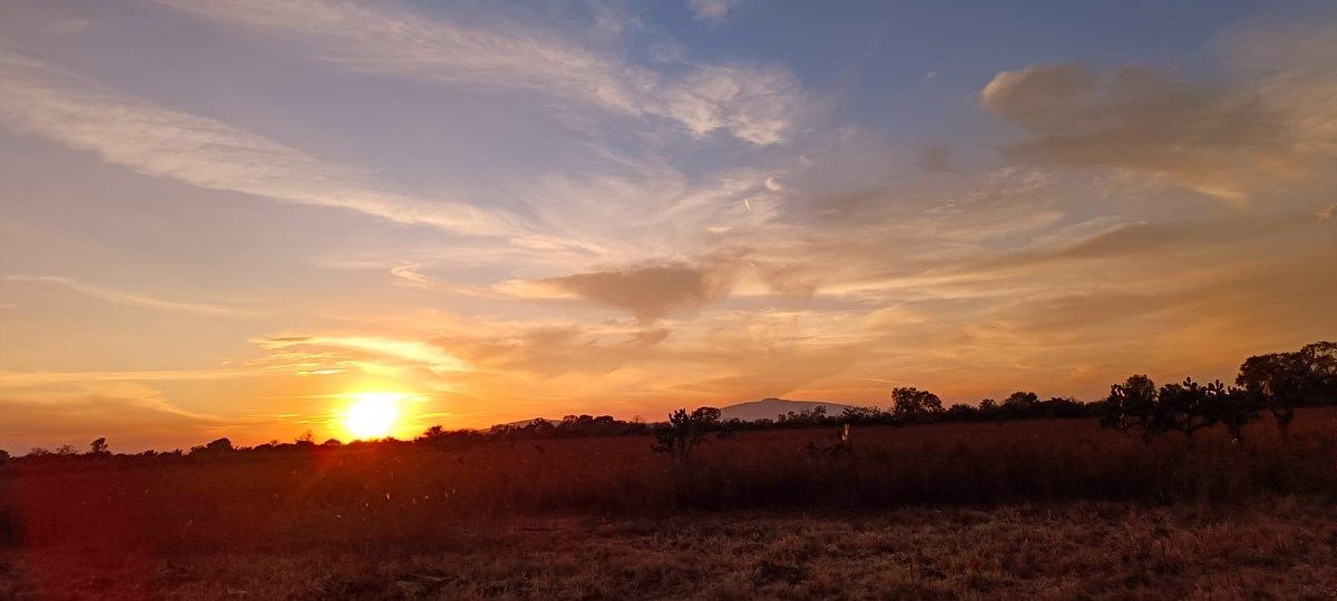 Lote em Rinconada de los Vázquez, Arandas, foto 4 de 9