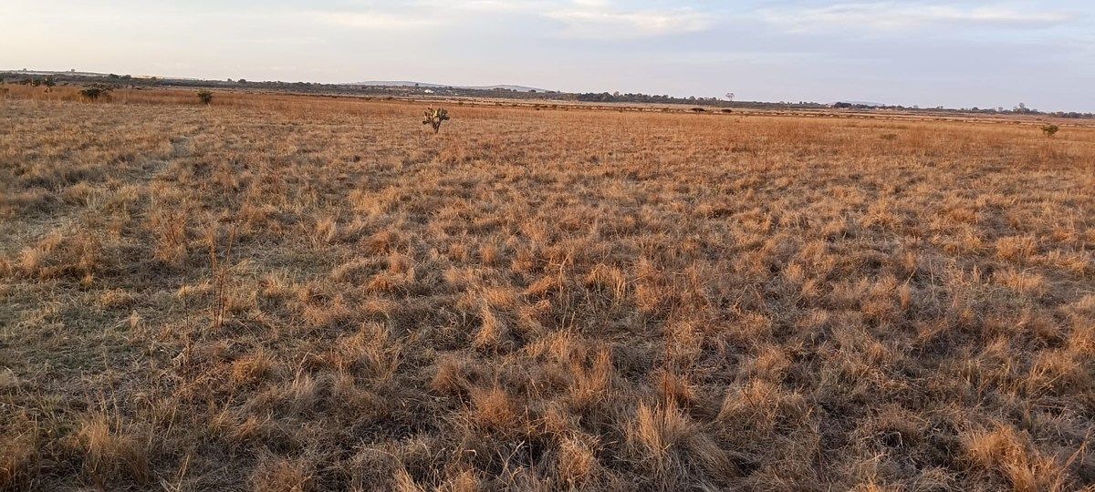 Lote em Rinconada de los Vázquez, Arandas, foto 6 de 9