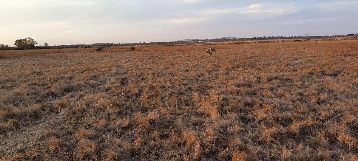 Lote em Rinconada de los Vázquez, Arandas, foto 8 de 9