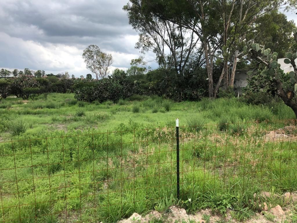 Terreno en Alcocer, San Miguel de Allende, foto 2 de 8