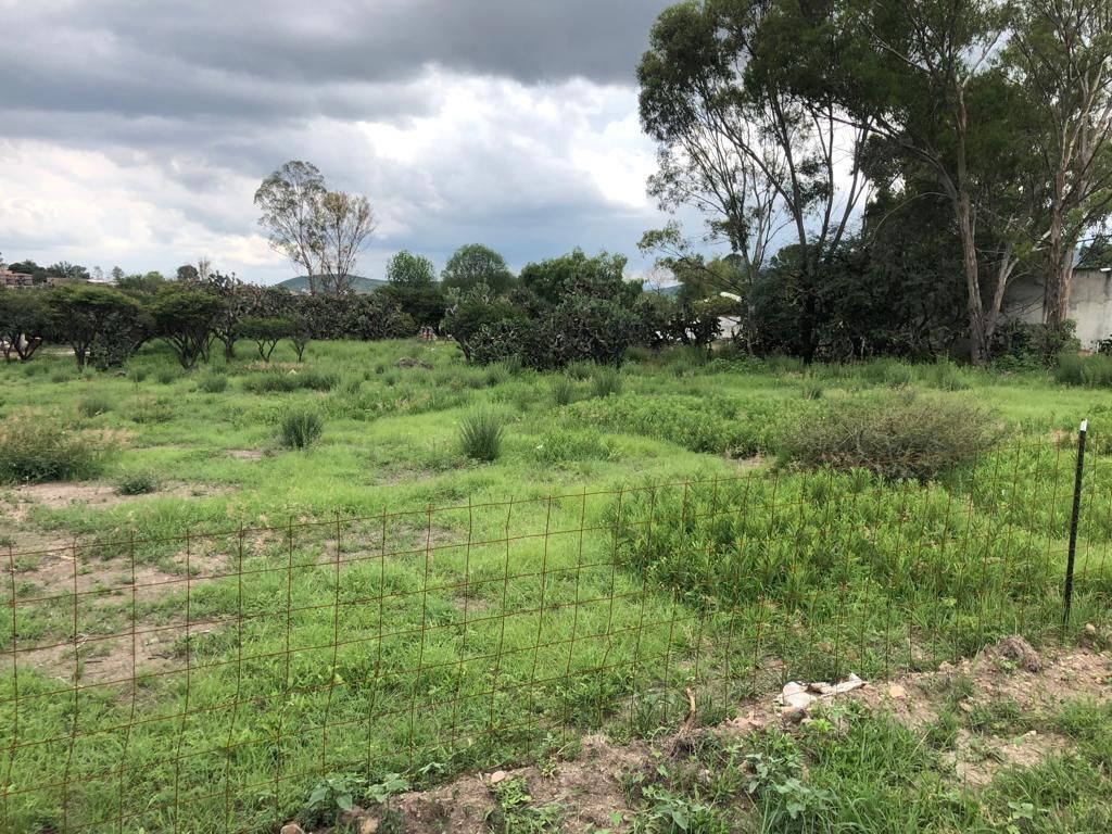 Terreno en Alcocer, San Miguel de Allende, foto 8 de 8