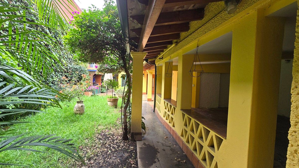 Casa en Renta en Coyoacan Rayo Vende ®, foto 5 de 16