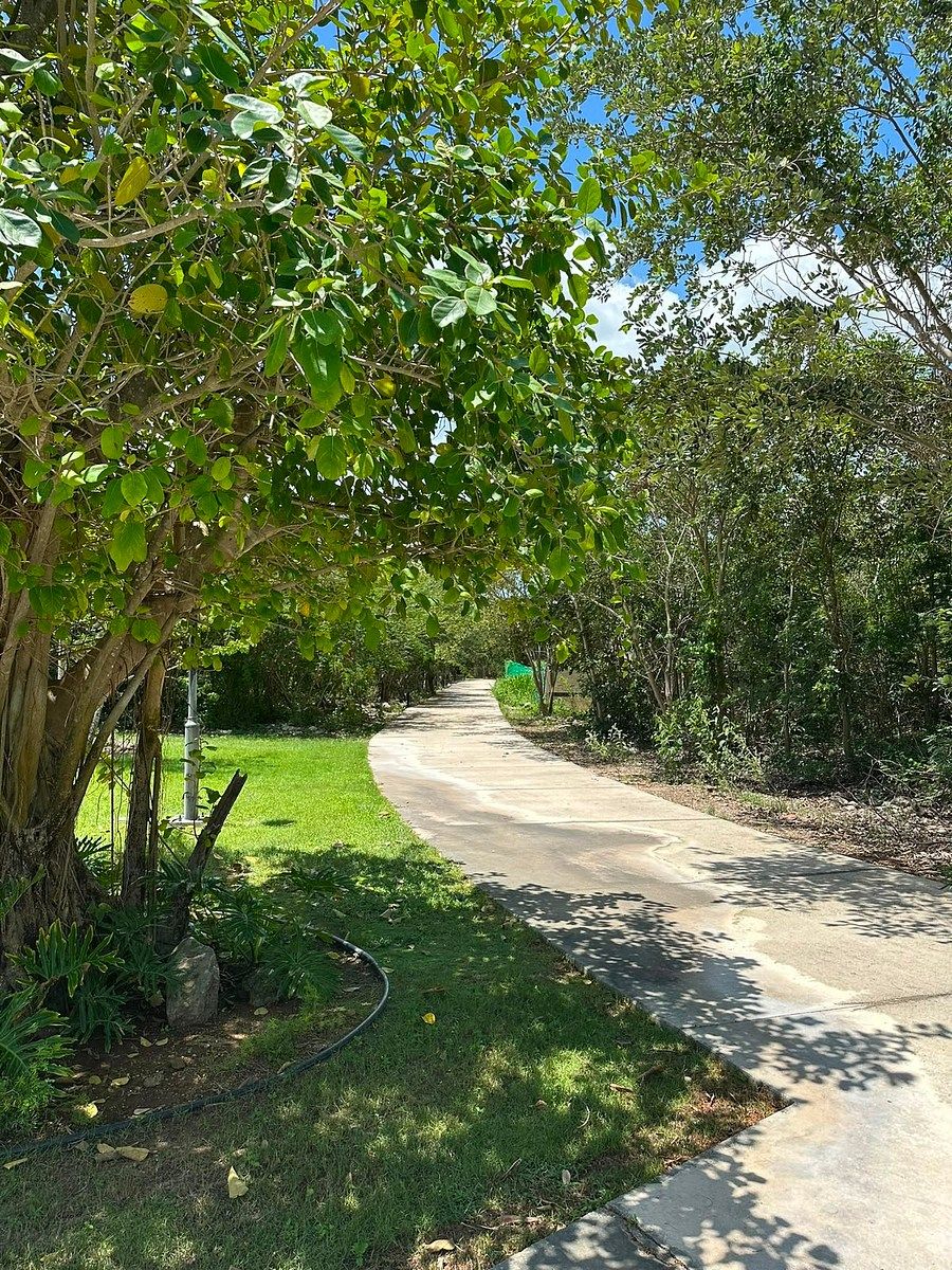 Terreno en Yucatán Country Club, Mérida, foto 11 de 15