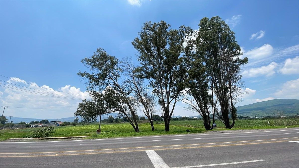 Lote em Los Pinos, Tlajomulco de Zúñiga, foto 8 de 13