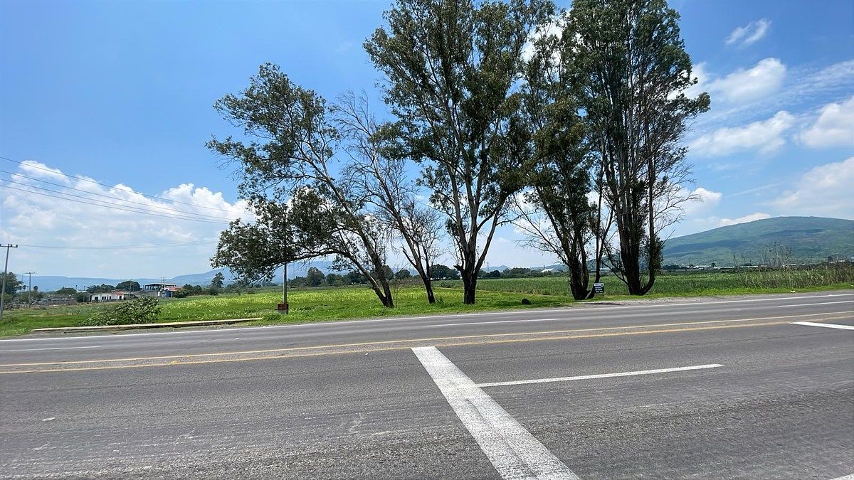 Lote em Los Pinos, Tlajomulco de Zúñiga, foto 9 de 13